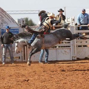 Meet your Posher, Zachary